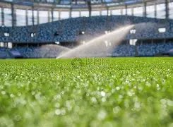 纽卡斯尔少,年心脏骤停,后重返板球,皇冠体育app下载,皇冠体育官网,澳门皇冠体育,bet皇冠体育在线